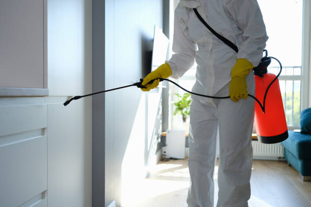 Best Mold Removal Specialists  in Carver, MN