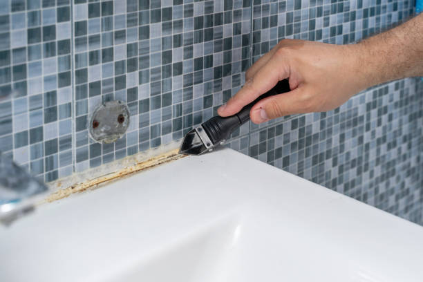 Best Local Mold Removal Service  in Carver, MN