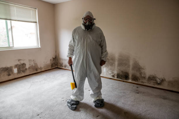 Best Mold Damage Repair  in Carver, MN